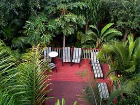 View of our deck and tropical gardens