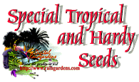 Special Seeds Cold Hardy and Tropical