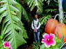 Tropical Garden View