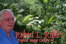 Robert L. Riffle's Garden Image Page
