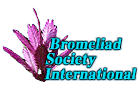 Bromeliad Society International