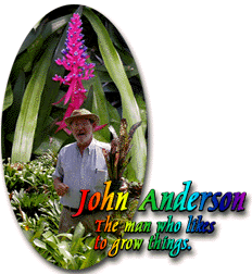 John Anderson