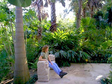 Palms and a place to rest