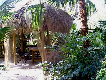 The Palapa