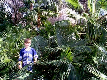 "Look Grandpa", It's a jungle!