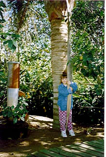 Maggie (Alice and Thad's Granddaughter) under a Queen Palm