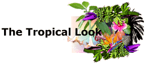 Robert Lee Riffle's New Book "The Tropical Look"