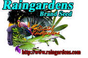 Raingardens Brand Seed